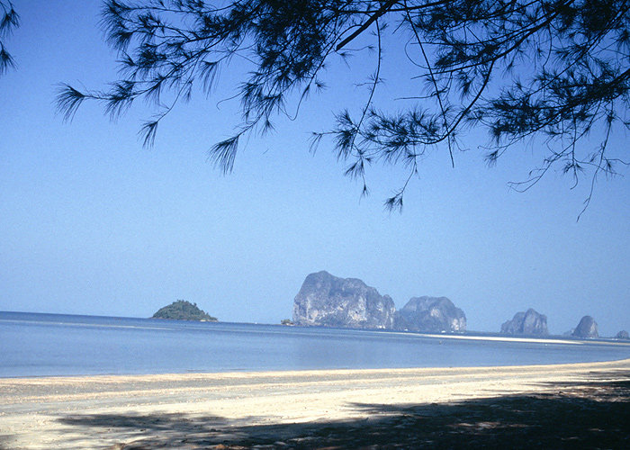 安纳塔拉丝蔻度假村_vacation-resort-krabi-trang-ASK_562.jpg