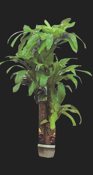 PLANT02.JPG