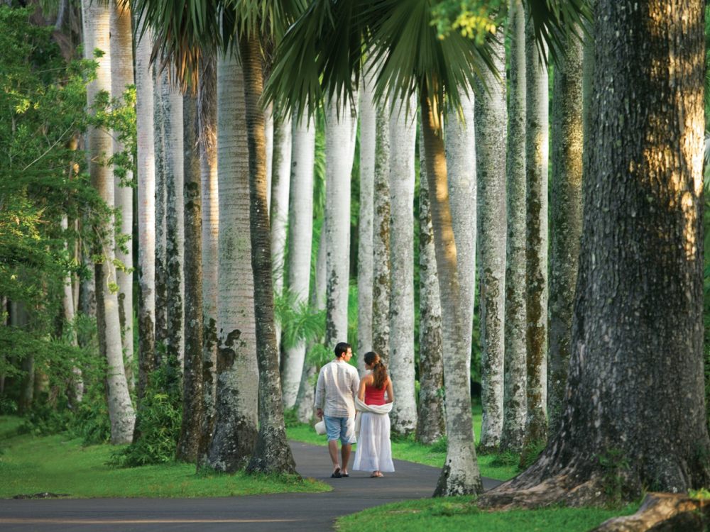 毛里求斯安娜希塔四季度假酒店（Four Seasons Resort at Anahita）_27.jpg