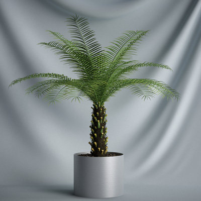 20个精美的植物模型_10.jpg