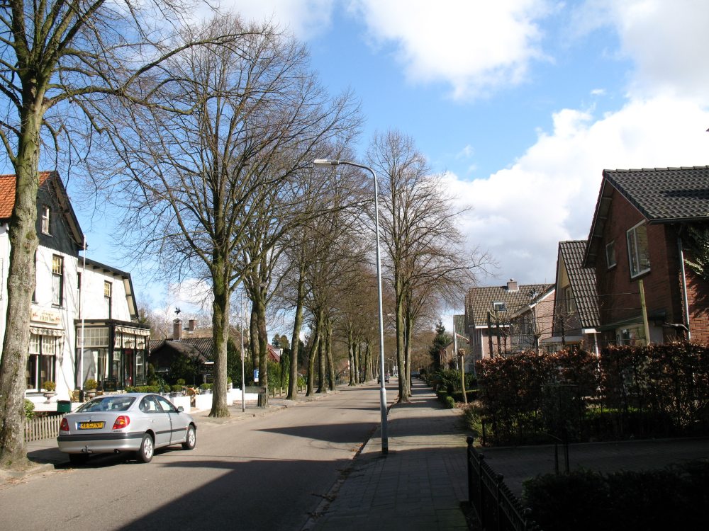 荷兰Amsterdam;Apeldoorn Het nationale park de hoge veluwe 053_调整大小.jpg