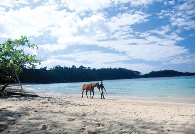 Geejam酒店/安東尼港，牙買加_Beach_Horse_fs.jpg