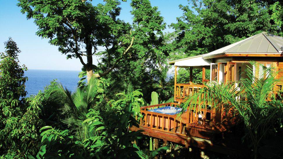 Geejam酒店/安東尼港，牙買加_007207-05-exterior-treehouse-daytime.jpg