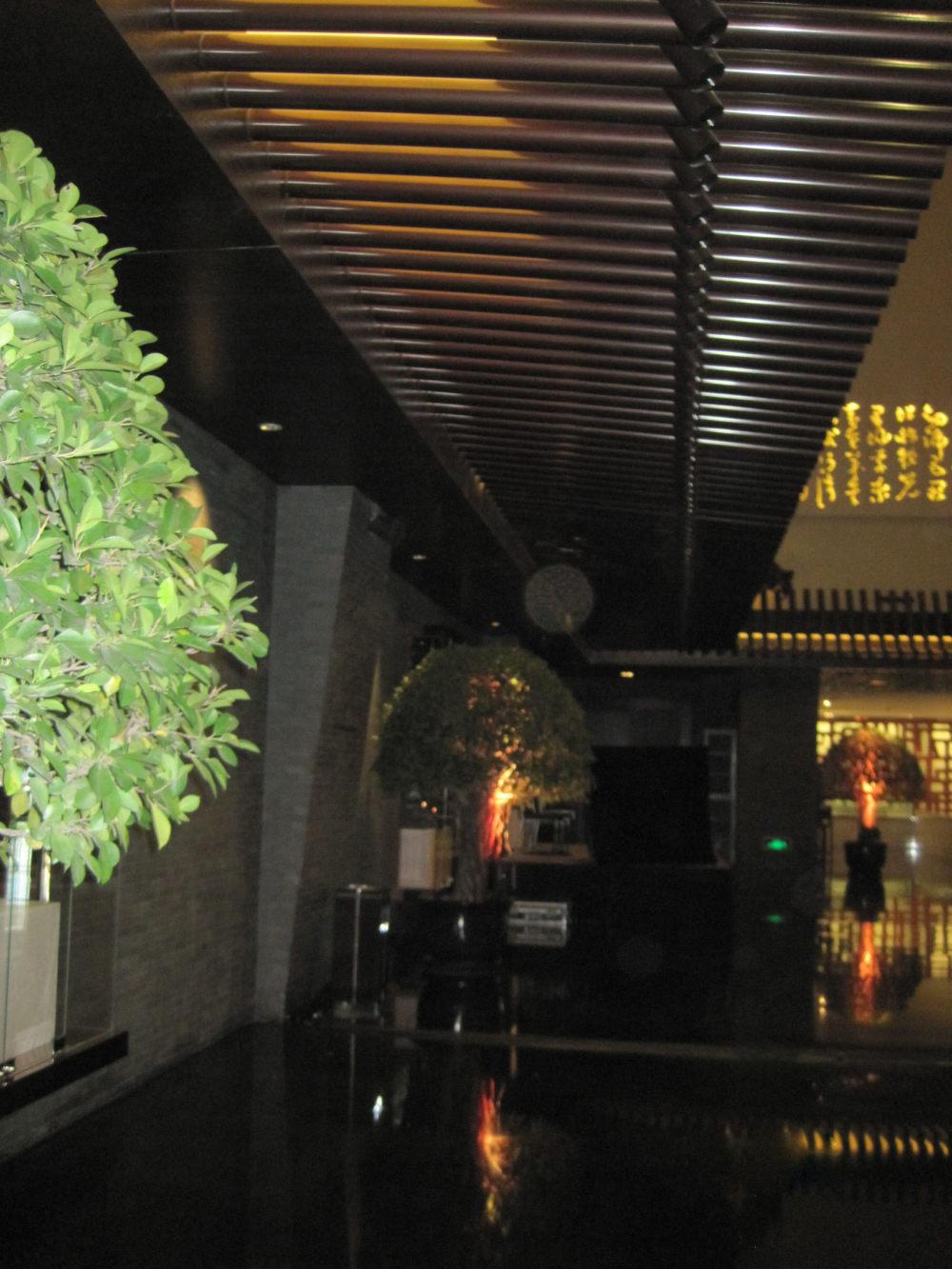 上海浦东卓美亚喜马拉雅酒店7.13第二页更新_IMG_1142.JPG