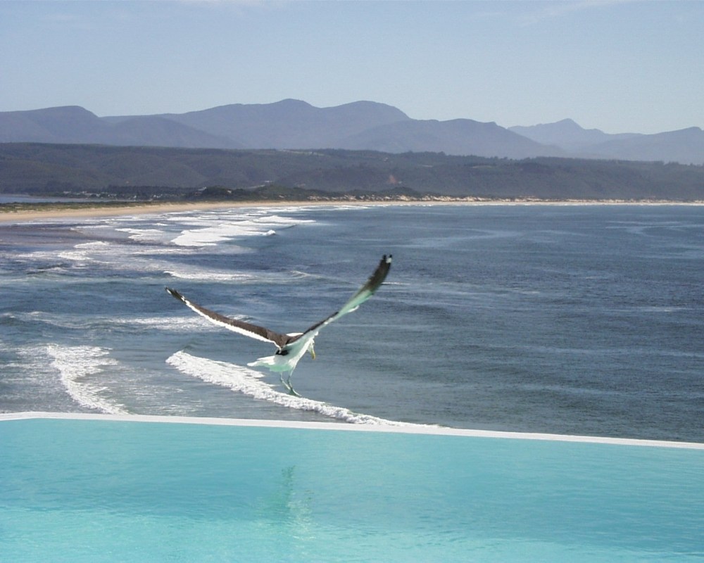 普利登堡酒店(The Plettenberg Hotel)/南非_plett_4.jpg