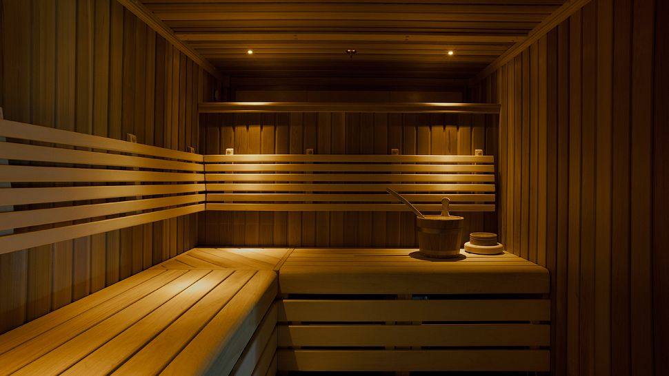 圣潘克勒斯文艺复兴酒店/伦敦_009220-13-spa-sauna.jpg