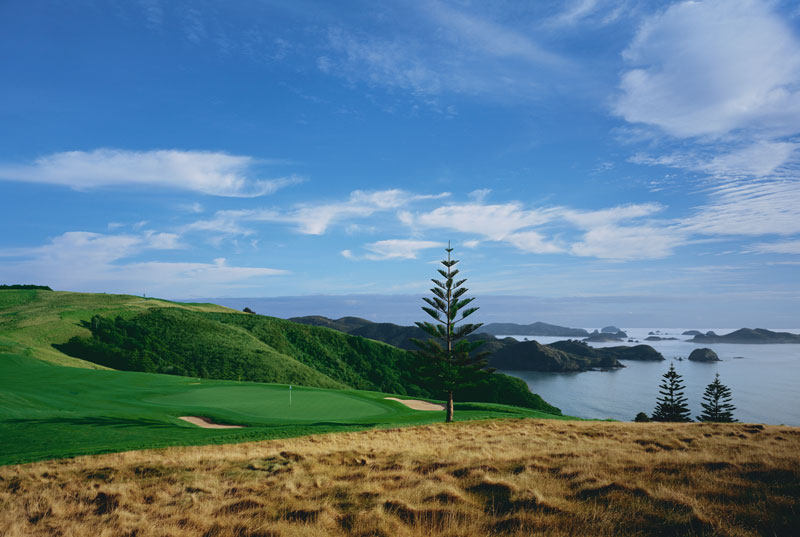 贝壳杉悬崖Golf Course Hotel，玛陶里湾，北岛，新西兰_ID12552Pic101.jpg
