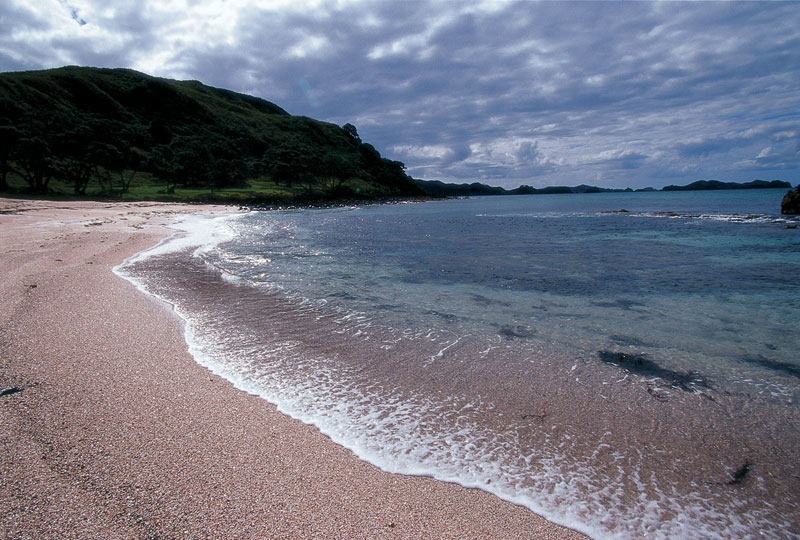 贝壳杉悬崖Golf Course Hotel，玛陶里湾，北岛，新西兰_ID12583Pic101.jpg