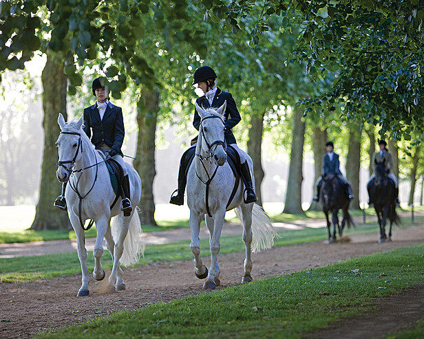 伦敦公园街四季酒店Four Seasons Hotel London at Park Lane_LON_166_616x493.jpg