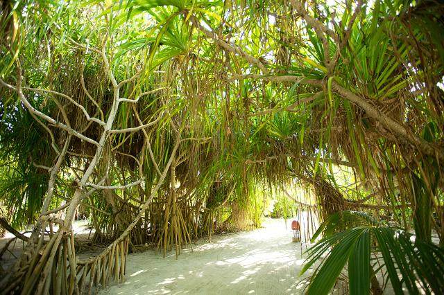 卡努呼拉岛（Kanuhura Maldives）_1303383374-outdoor-pathways.jpg