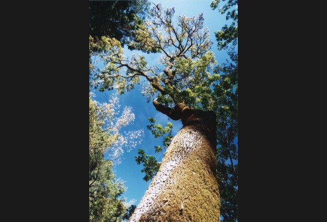 美国加利福尼亚州纳帕山谷The Calistoga Ranch农场_119533-calistoga-ranch-napa-valley-united-states.jpg