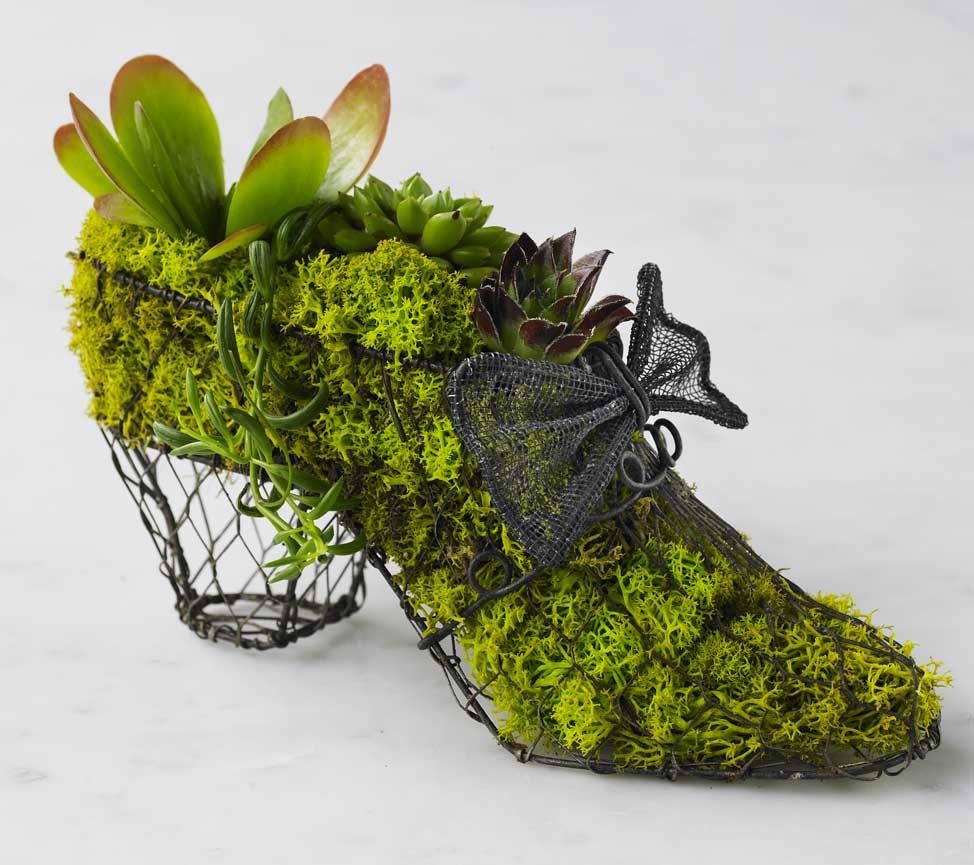 玻璃制品_zm_succulent-shoe.jpg