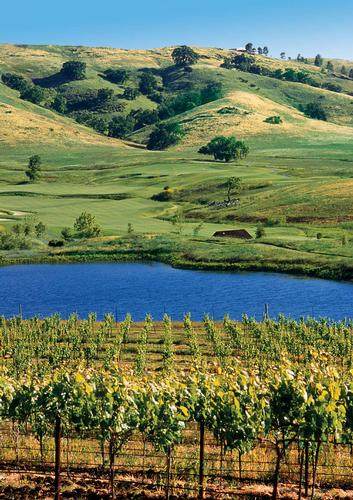 加利福尼亚州圣马丁CordeValle  A Rosewood Resort紫檀木度假村_25.jpg