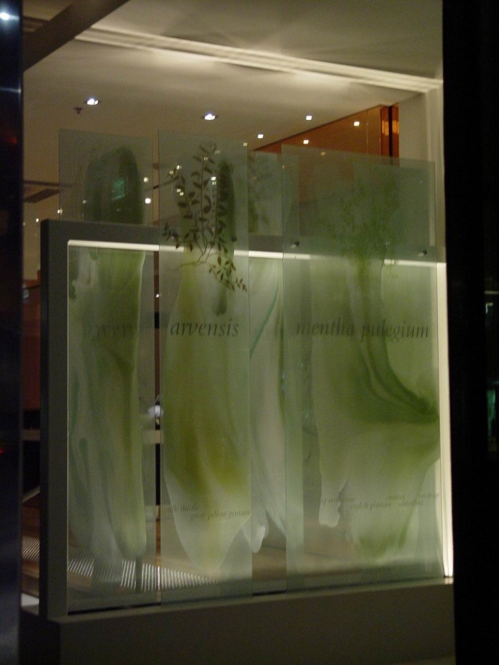DSC02887.jpg