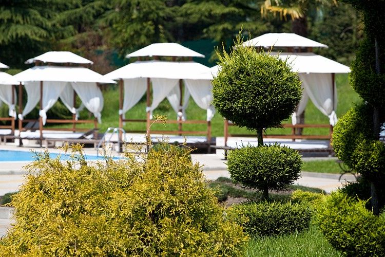 俄罗斯索契罗迪纳温泉大酒店The Grand Hotel & Spa Rodina_f_1277367945.jpg