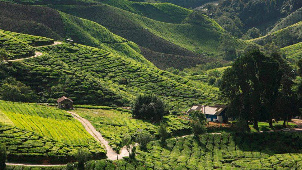 马来西亚金马仑高原度假村_003327-02-countryside-hills.jpg