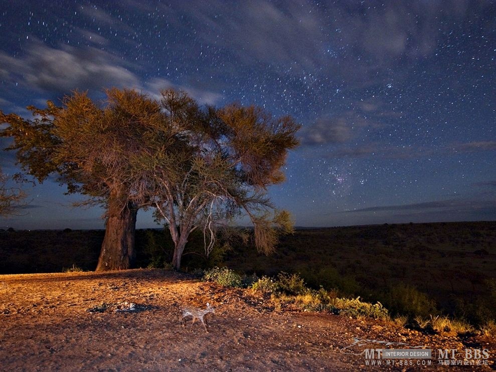 美国国家地理杂志照片精选_夜景，坦桑尼亚.jpg