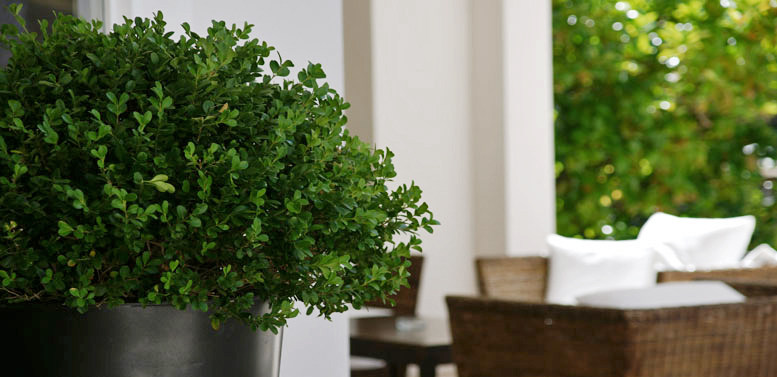 意大利,圣特雷莎加卢拉,la coluccia酒店_011_coluccia_design_hotel_sardegna.jpg