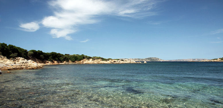 意大利,圣特雷莎加卢拉,la coluccia酒店_027_coluccia_design_hotel_sardegna.jpg