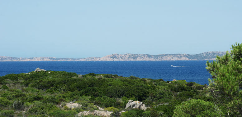 意大利,圣特雷莎加卢拉,la coluccia酒店_029b_coluccia_design_hotel_sardegna.jpg