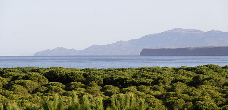 意大利撒丁岛高尔夫酒店Golf hotel sardinia_025_golf_hotel_is_arenas_sardinia.jpg