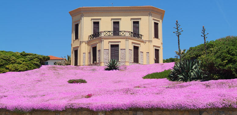 意大利莫斯卡别墅_003_villa_mosca_charming_house_sardegna.jpg