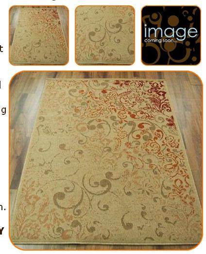 2011 最新地毯素材资料 现代 606张_786502.jpg