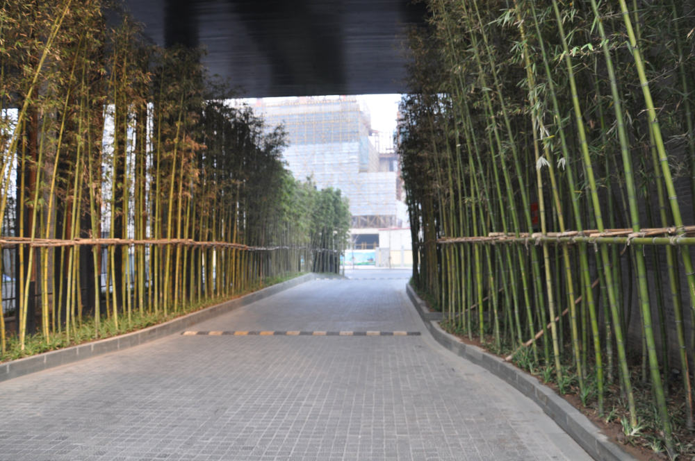 上海璞丽酒店(Pula  Hotal  Shanghai)(LDG & JA)2012.08.14第45页更新_DSC_0097.jpg