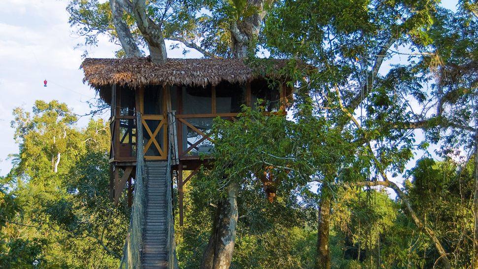 秘鲁Inkaterra Reserva Amazonica酒店_004777-08-Canopy-Tree-House-exterior.jpg
