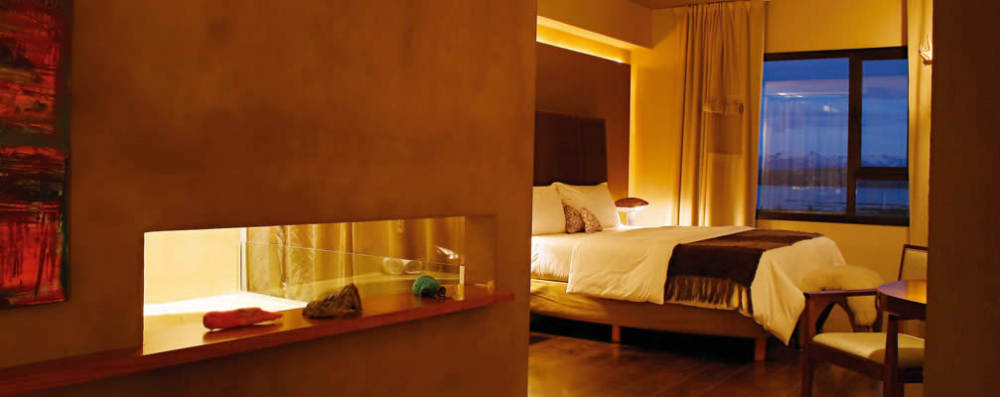 阿根廷巴塔哥尼亚,圣克鲁斯,Esplendor El Calafate酒店_calafate-habitacion-02.jpg