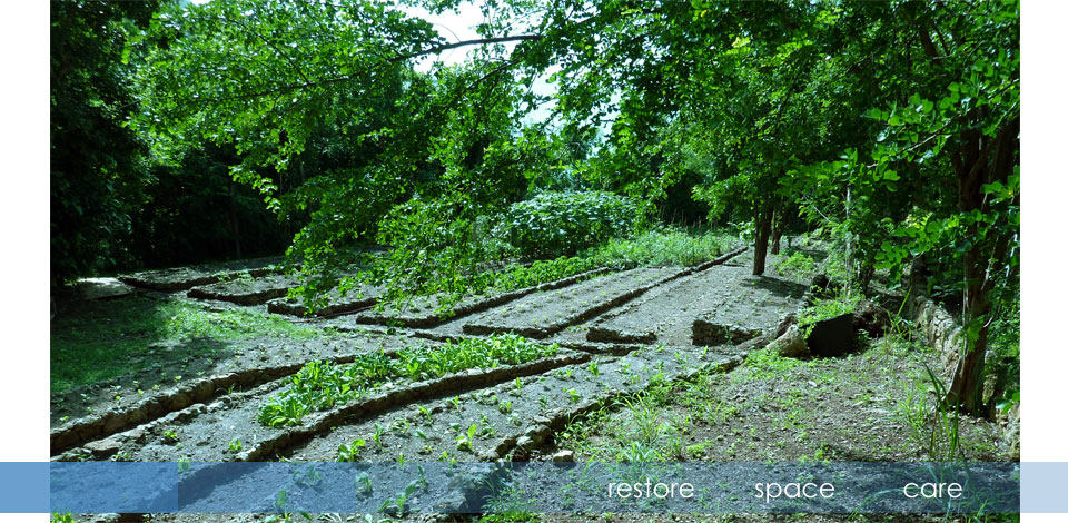 加勒比,安提瓜,圣约翰Hermitage Bay_organickitchengarden.jpg