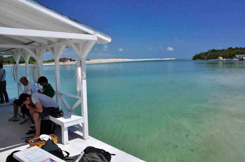 加勒比巴哈马安德罗Caribbean Bahamas Andros Kamalame Cay_COCO_DSC3414.jpg