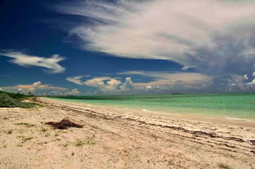 加勒比巴哈马安德罗Caribbean Bahamas Andros Kamalame Cay_COCO_DSC3647.jpg