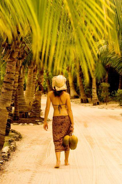 加勒比巴哈马安德罗Caribbean Bahamas Andros Kamalame Cay_road 1.jpg