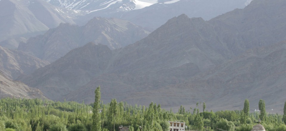 印度沙克蒂-拉达克酒店 shakti-ladakh_1-s1-ladakh-photo-gallery.jpg