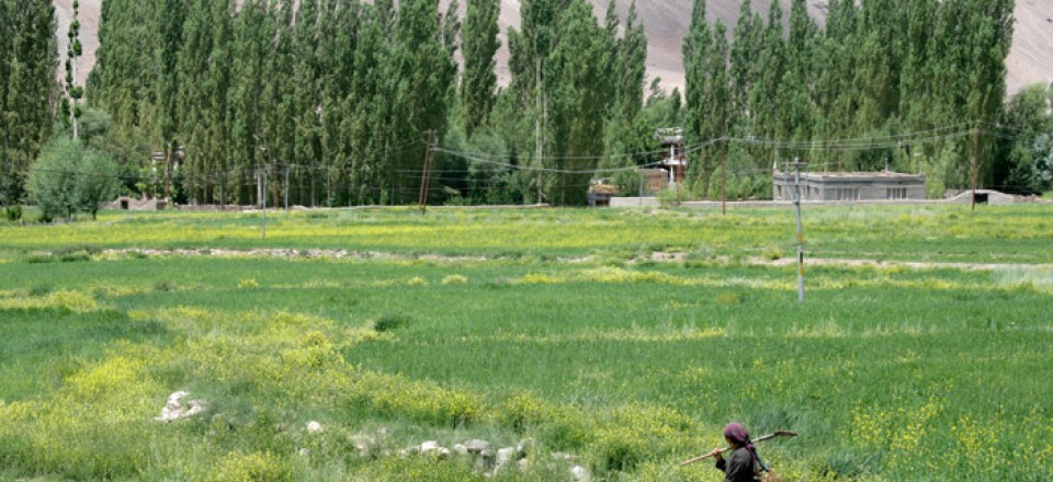 印度沙克蒂-拉达克酒店 shakti-ladakh_5-s1-ladakh-photo-gallery.jpg