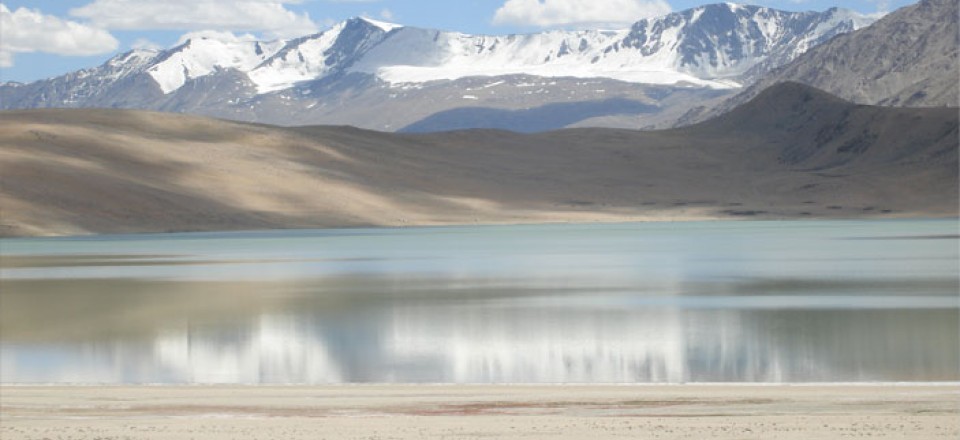印度沙克蒂-拉达克酒店 shakti-ladakh_41-s1-ladakh-photo-gallery.jpg