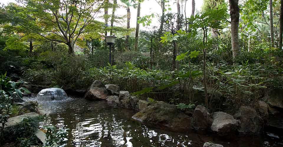 日本静岡県 伊豆下田蓮台寺温泉　清流荘 Seiryuso Rendaiji_image07.jpg