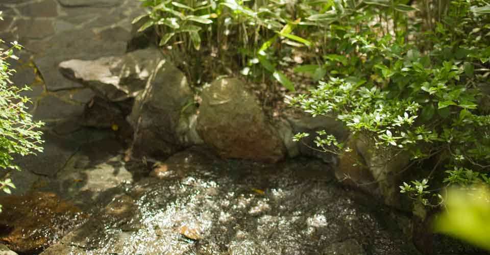 日本静岡県 伊豆下田蓮台寺温泉　清流荘 Seiryuso Rendaiji_style02.jpg