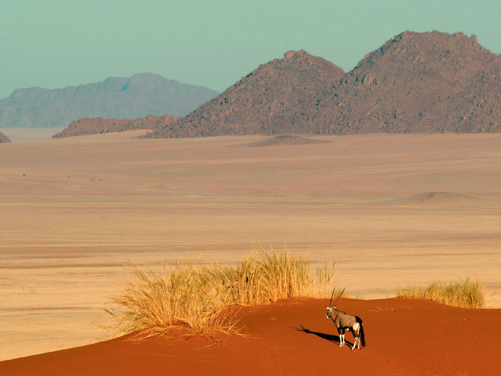 wolwedans Dunes Lodge- 纳米比亚NamibRand自然保护区_landscape04_1024x768.jpg