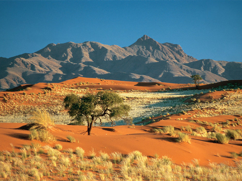 wolwedans Dunes Lodge- 纳米比亚NamibRand自然保护区_landscape05_1024x768.jpg