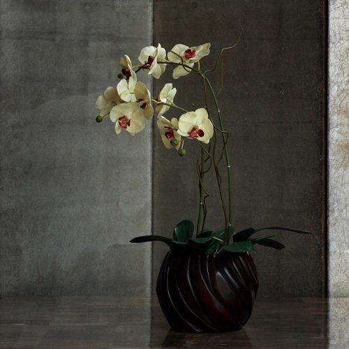 Orchid fodl_48.jpg