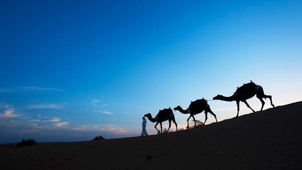 阿拉伯联合酋长国阿玛哈沙漠度假村_003263-18-camel-trekking.jpg