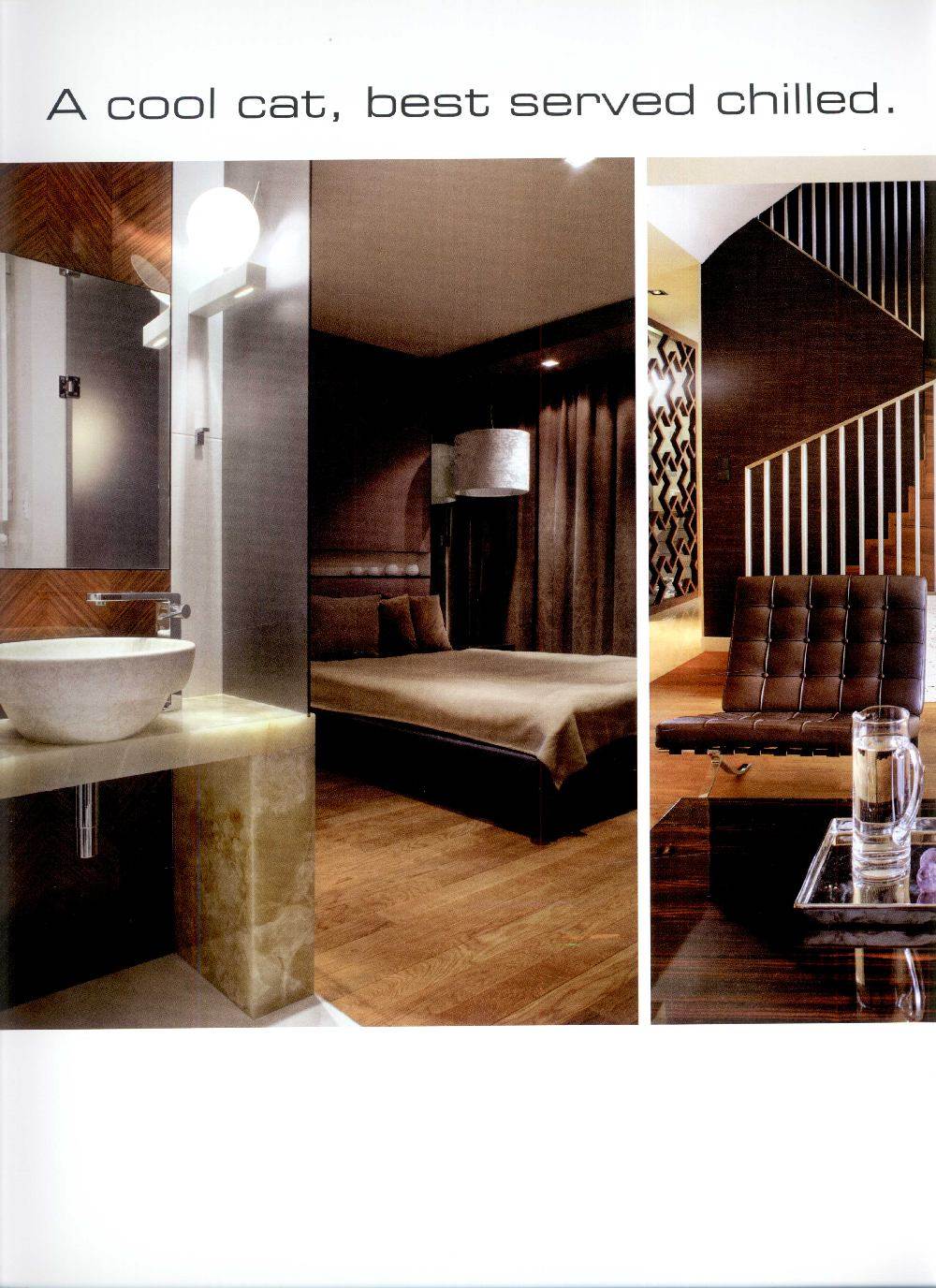 SN003 Andrew Martin Interior Design Review 安德鲁.马丁国际室内年度大奖2010-2011获奖作品_00239.jpg