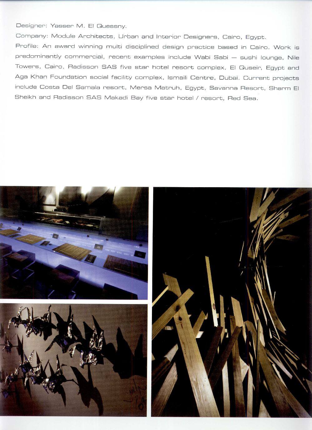 SN003 Andrew Martin Interior Design Review 安德鲁.马丁国际室内年度大奖2010-2011获奖作品_00396.jpg