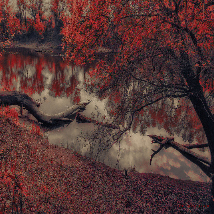 匈牙利Neer Ildiko摄影_20110924171010265.jpg