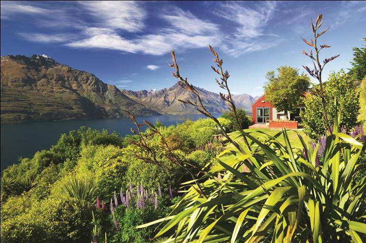 新西兰皇后镇海岸Azur 的豪华小屋_Lodge-Garden2.jpg