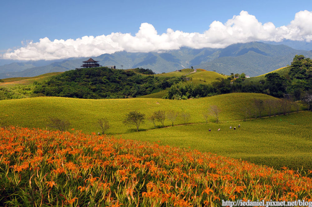 台灣花蓮六十石山金針花季‏_1313944368-b80467a6b86595760a480107c5958b28.jpg