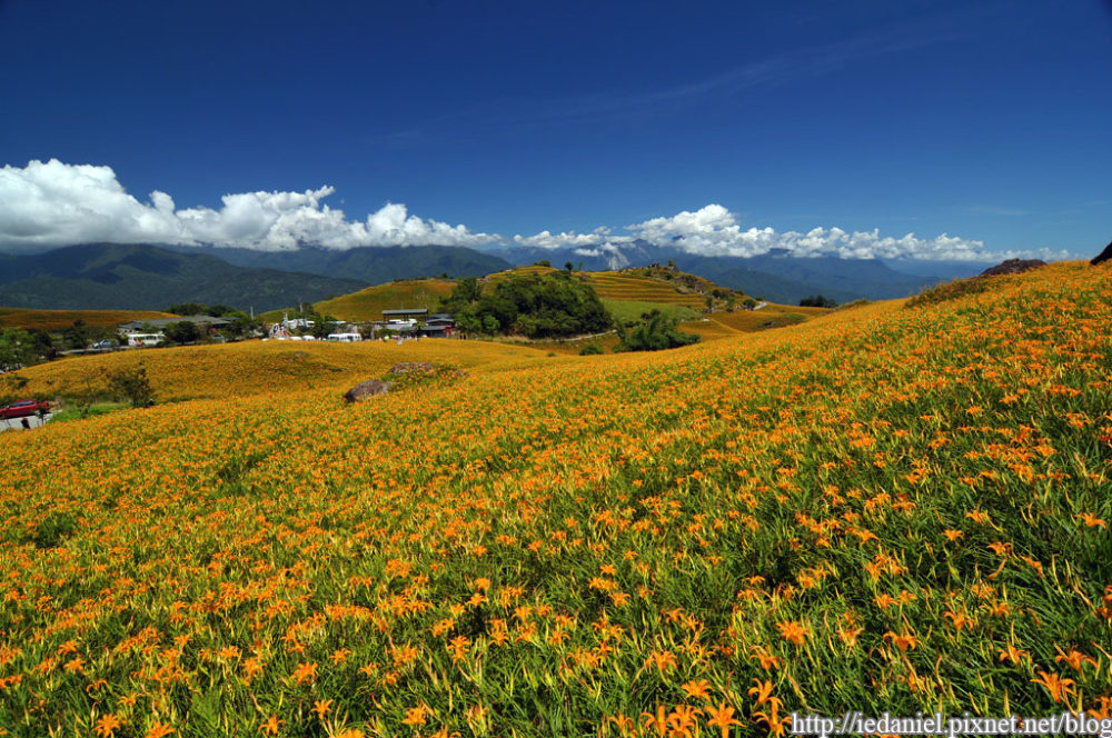 台灣花蓮六十石山金針花季‏_1313944369-9f24ae62d6ac60e019c7201a00e77622.jpg