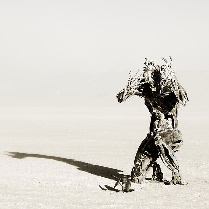 Burning Man 2010 （火人节）/ Hector Santizo_burning_man2010_16.jpg